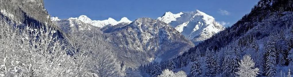 Bild Alpen Winter